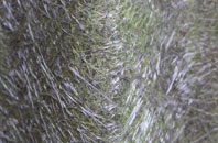 Little Studley fibreglass roof work